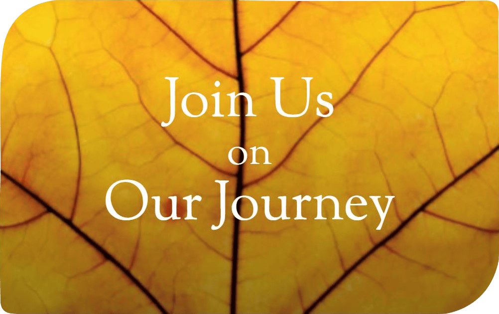 Join Us