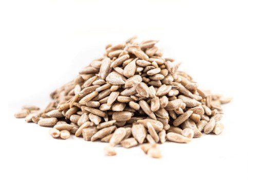 Quay Coop Sunflower Seeds Refills
